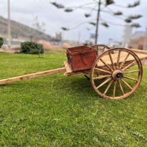 Carreta Antigua